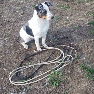 Meet your Posher, Leanna